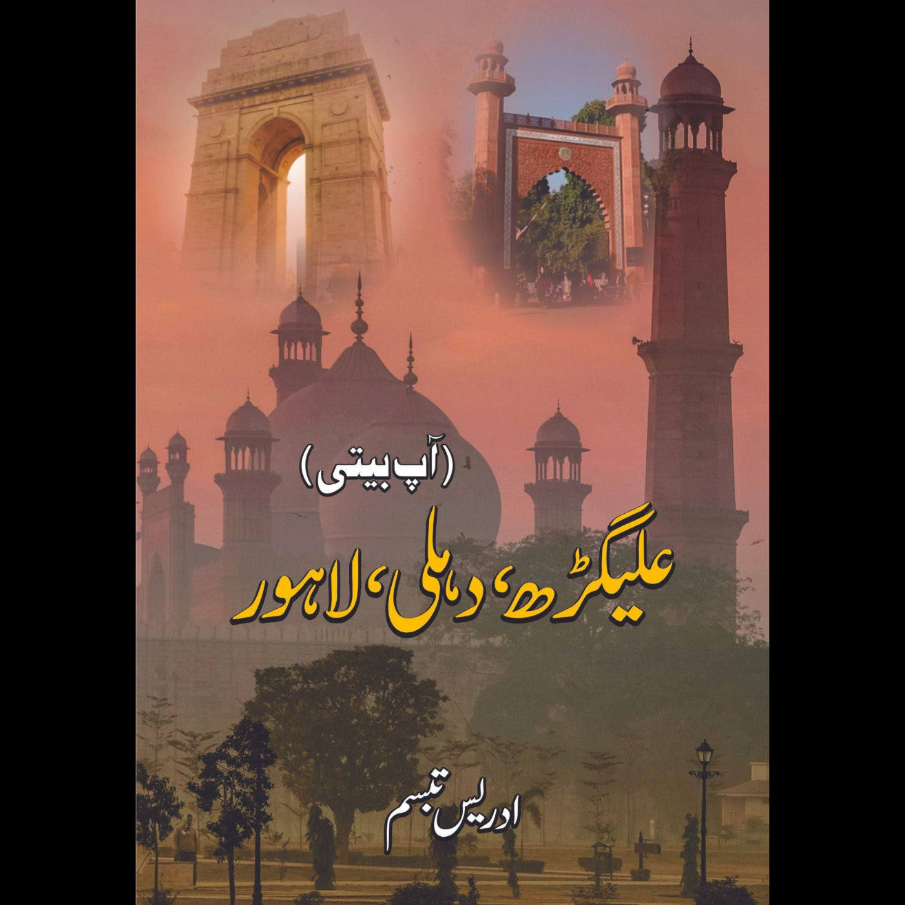 علی گڑھ ، دہلی ، لاہور | آپبیتی | ادریس تبسم