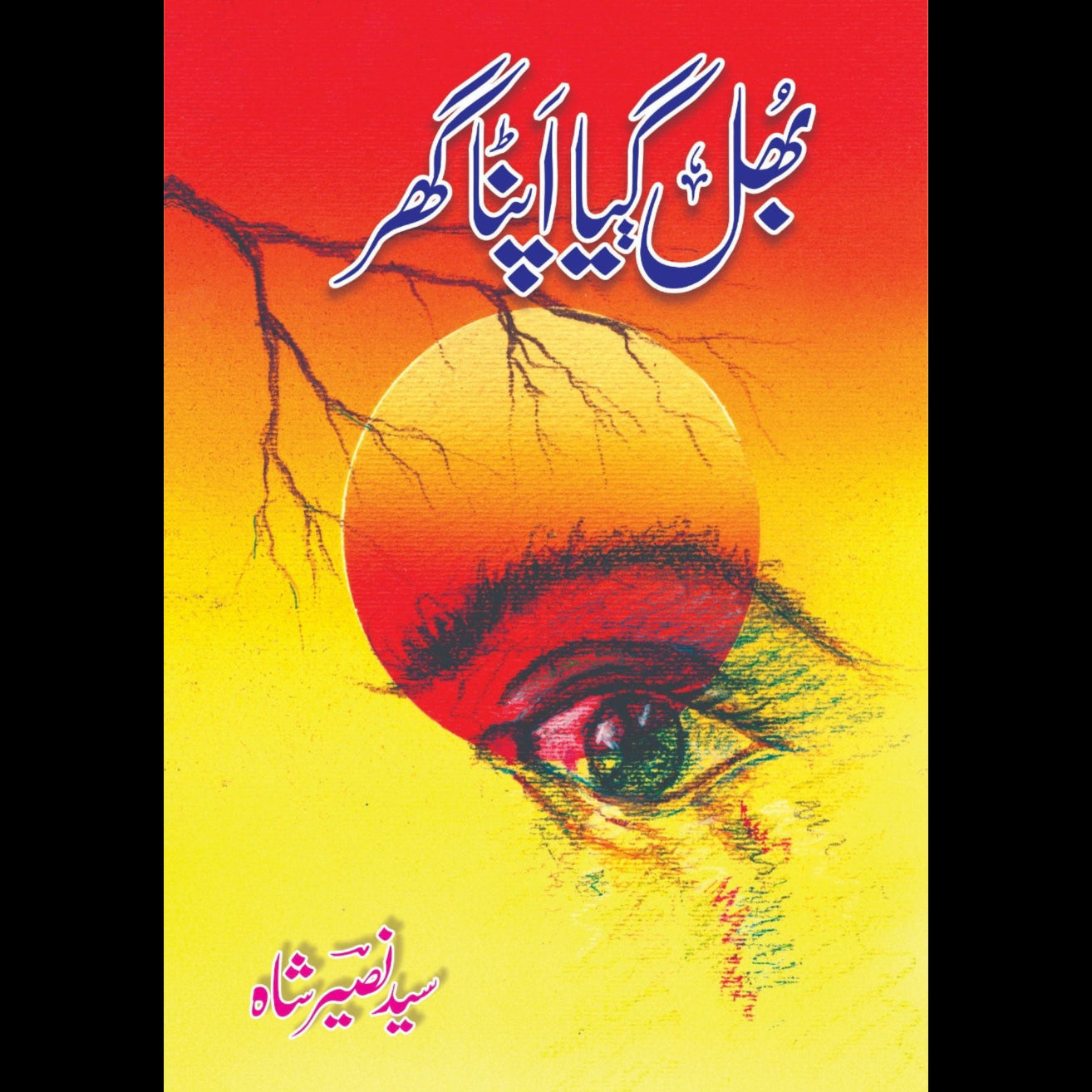 بھل گیا اپنا گھر | سید نصیر شاہ | Bhul Gya Apna Ghr | Syed Nasir Shah