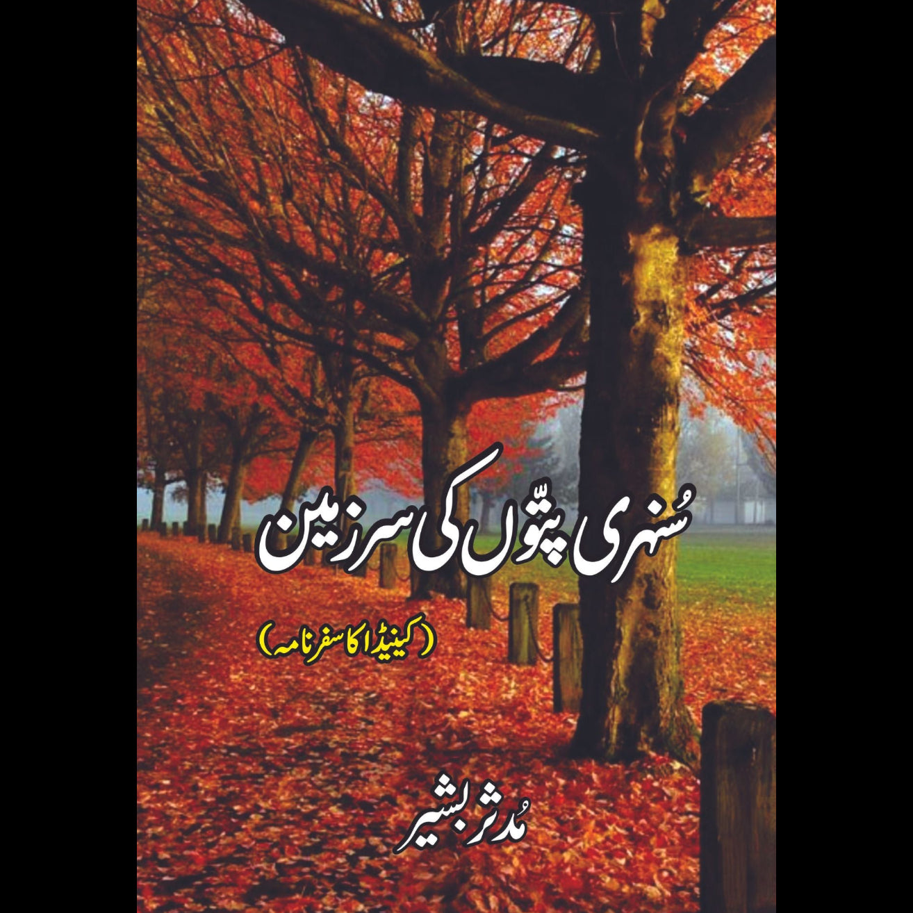 سنہری پتوں کی سر زمین | مدثر بشیر