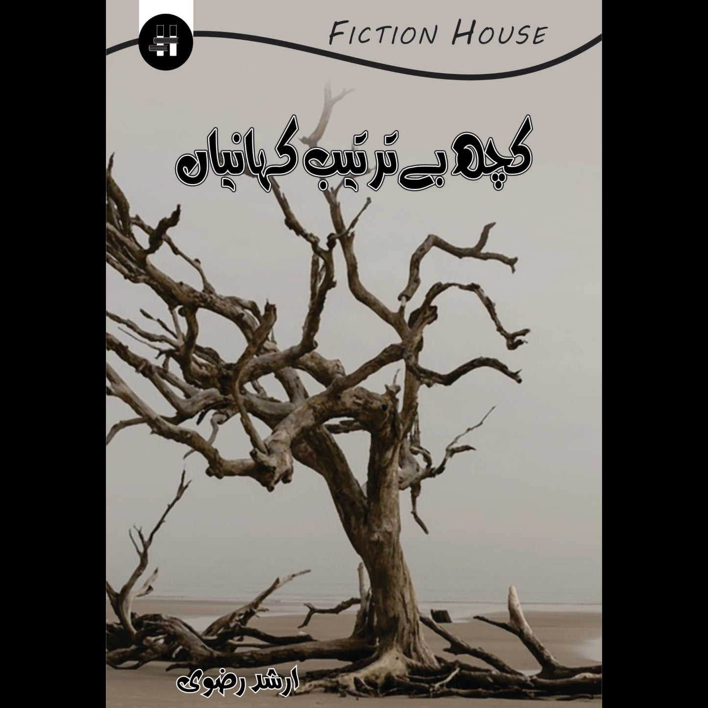 کچھ بے ترتیب کہانیاں | koch Bay Tartib Khaniya Fiction House