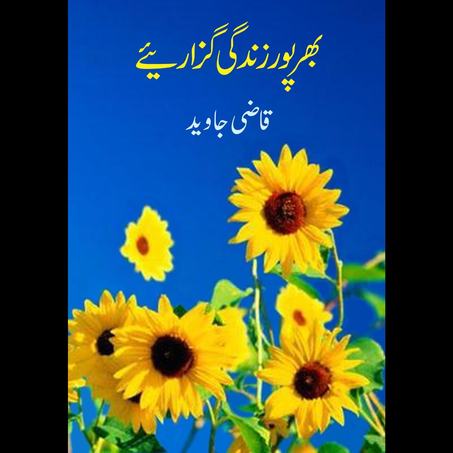 بھر پور زندگی گزارئیے | Bahr Pur Zindagi Guzaray Fiction House