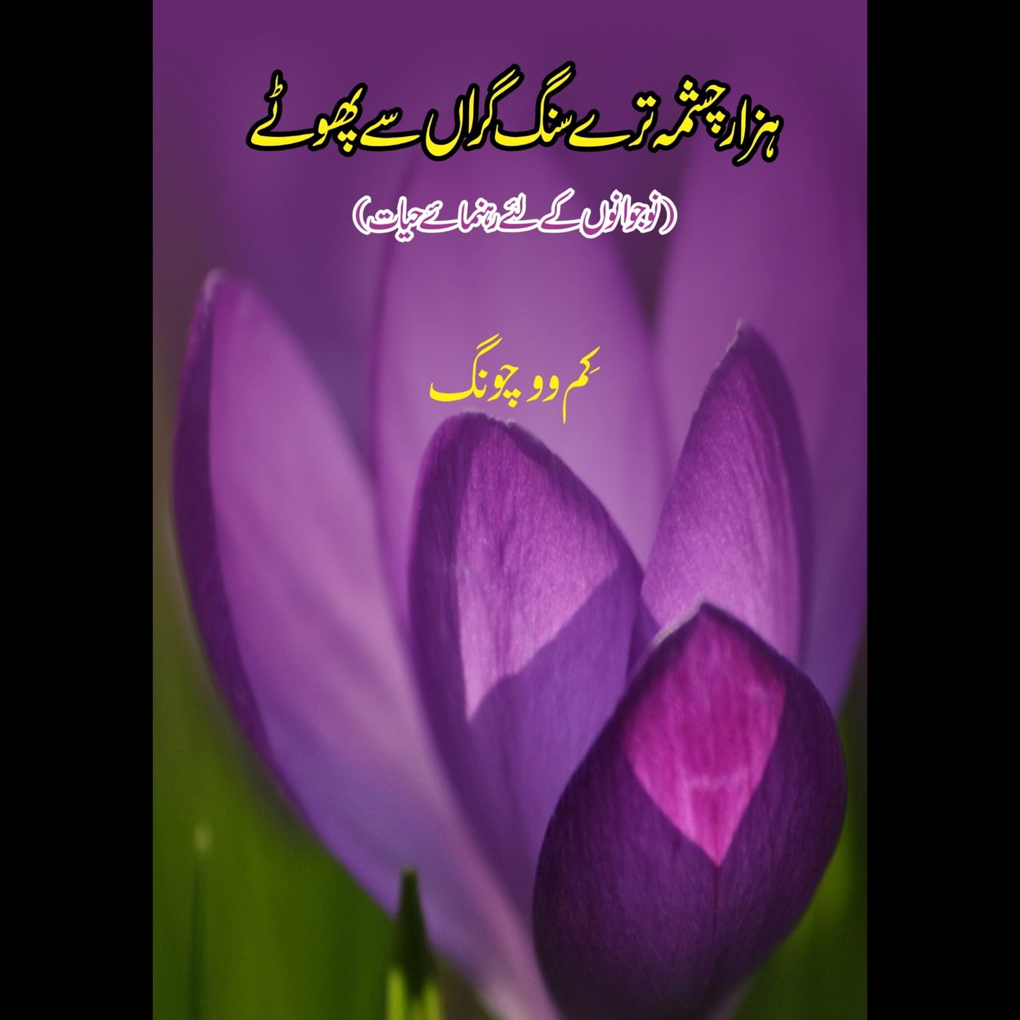 ہزار چشمہ گر سنگ تیرے | A thousand fountains fall on you Fiction House