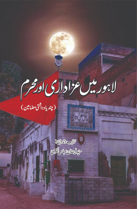 لاہور میں عزاداری اور محرم | Syed Faizan Naqvi | سید فیضان نقوی
