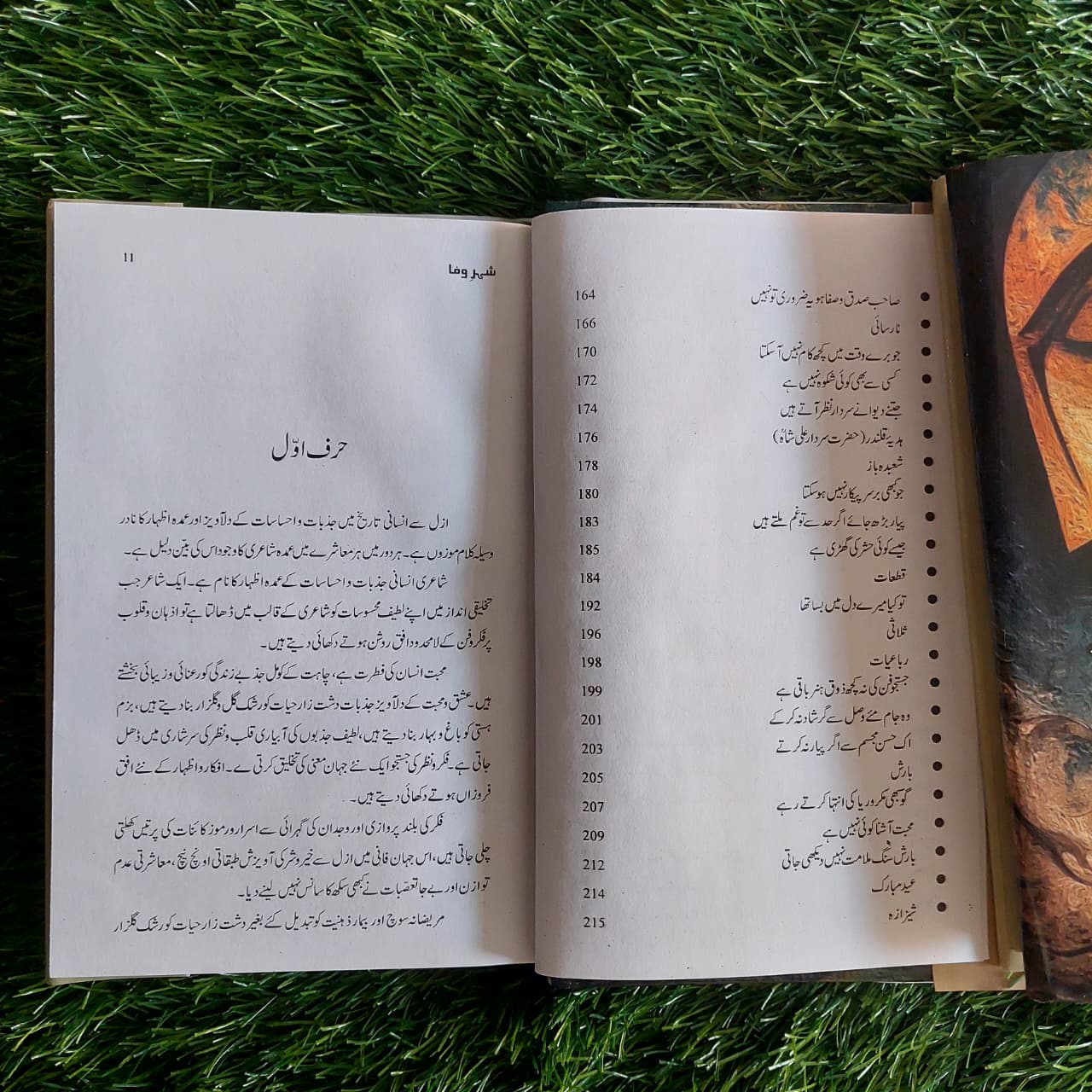 شہر وفا Shahr E Wafa Akhtar Cheema