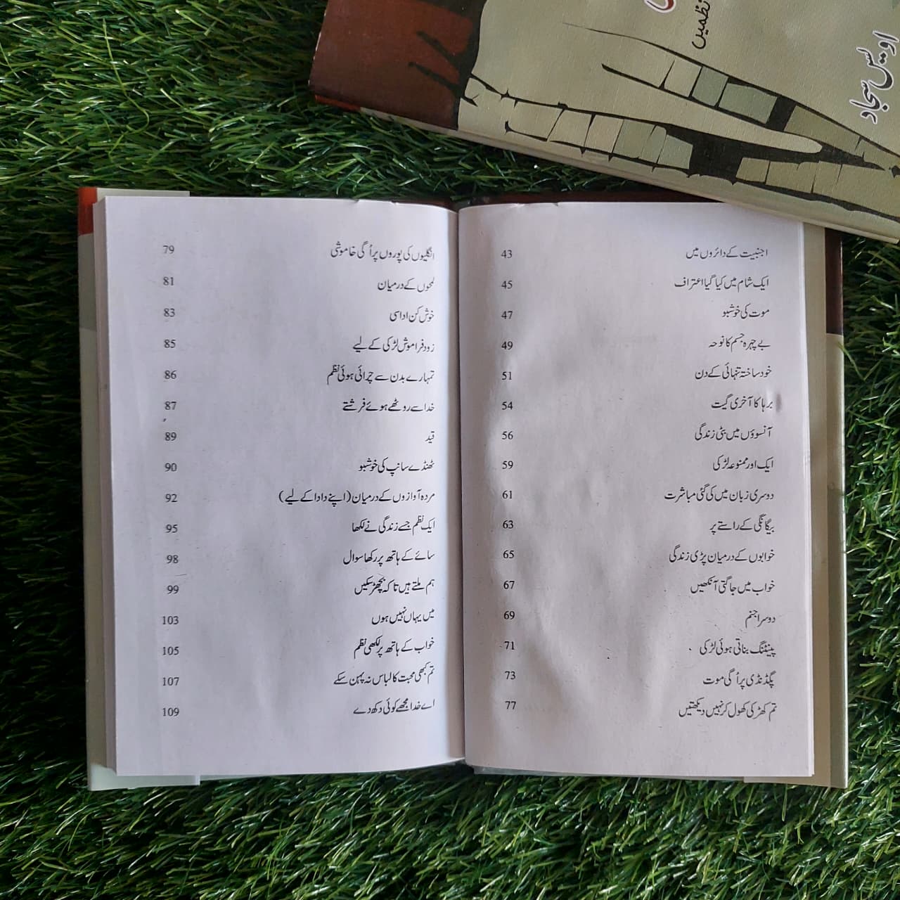 بیگانگی کے راستے پر Awais Sajjad Beygangi K Rasty Per