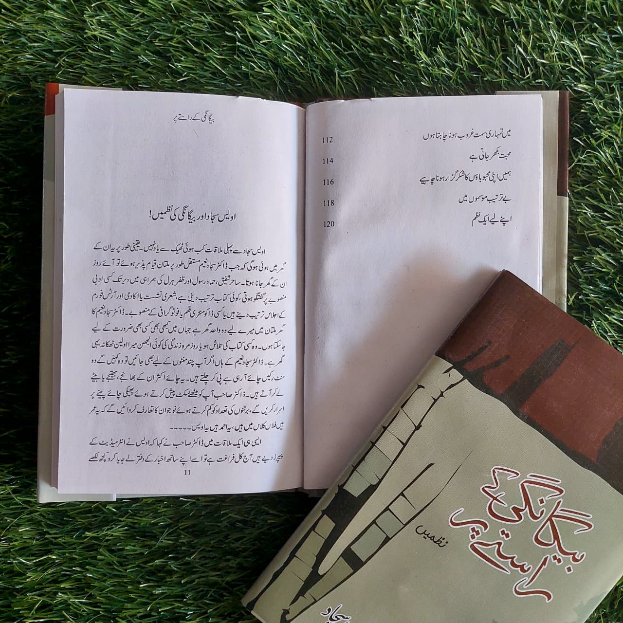 بیگانگی کے راستے پر Awais Sajjad Beygangi K Rasty Per