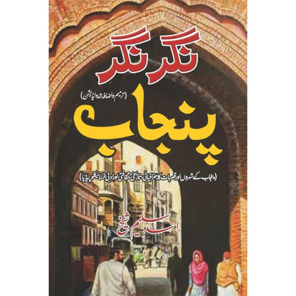 نگر نگر پنجاب | Nagr Nagr Punjab |  اسد سلیم شیخ