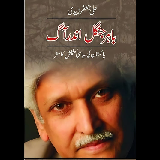 باہر جنگل اندر آگ |  علی جعفر زیدی