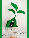 سہ پہر کی دھوپ | Seh Payhr Ki Dhopp | آٹھ غیر ملکی شعرا کی نظمیں