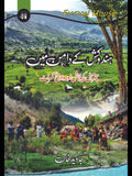ہندوکش  کے دامن میں  | جاوید خان